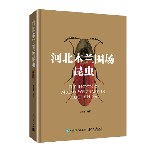 河北木蘭圍場昆蟲