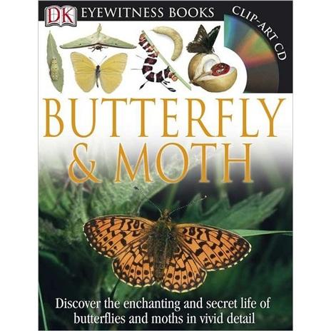 DKEyewitnessBooks:ButterflyandMoth