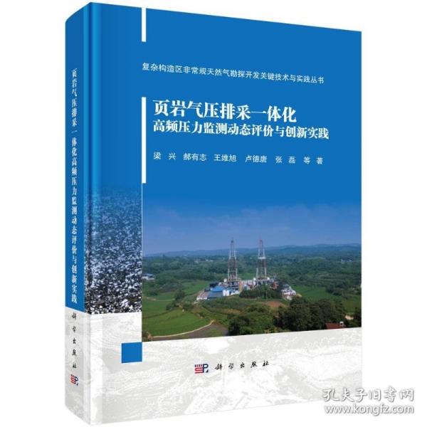 頁巖氣壓排采一體化高頻壓力監(jiān)測動態(tài)評價與創(chuàng)新實踐