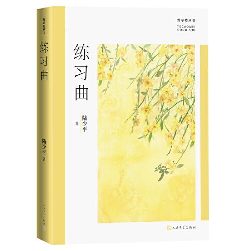練習曲(野草莓叢書)