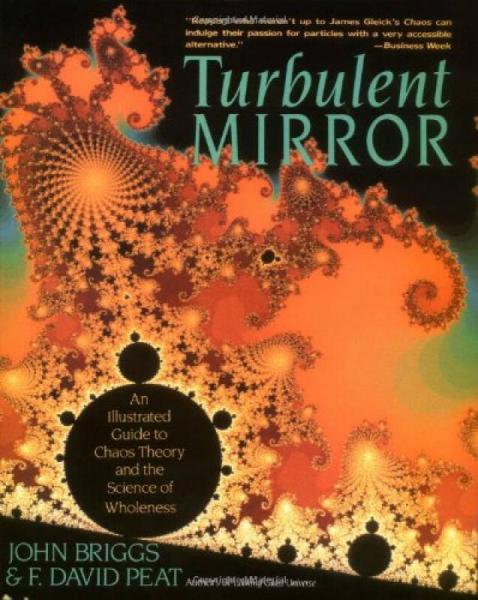 Turbulent Mirror