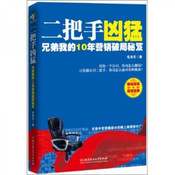 二把手凶猛：兄弟我的10年营销破局秘笈