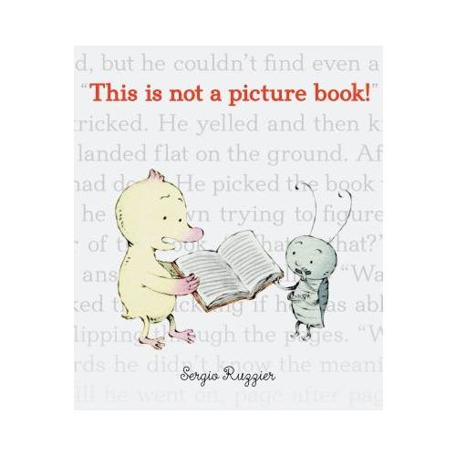 This Is Not a Picture Book!