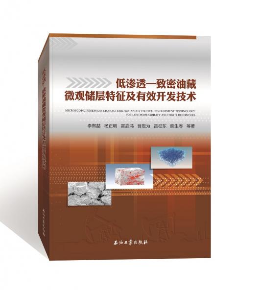 低滲透—致密油藏微觀儲層特征及有效開發(fā)技術(shù)
