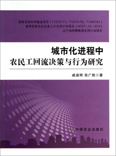 城市化進(jìn)程中農(nóng)民工回流決策與行為研究