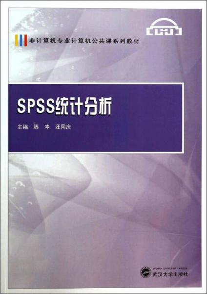 SPSS统计分析/非计算机专业计算机公共课系列教材