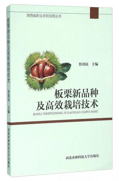 板栗新品種及高效栽培技術