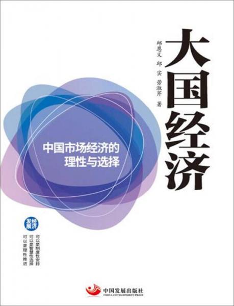 大國經(jīng)濟:中國市場經(jīng)濟的理性與選擇