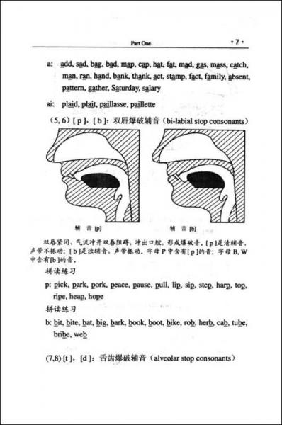 英語語言語調(diào)讀音規(guī)則