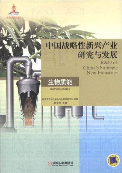 中國(guó)戰(zhàn)略性新興產(chǎn)業(yè)研究與發(fā)展：生物質(zhì)能