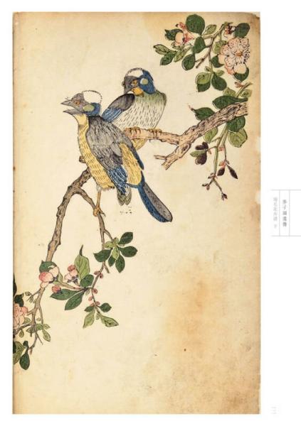 芥子园画传 花鸟卷·翎毛花卉谱下