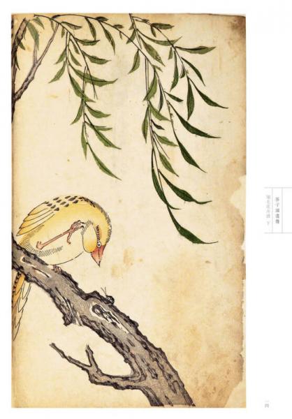芥子园画传 花鸟卷·翎毛花卉谱下