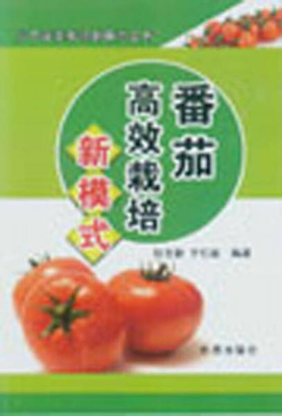 北方蔬菜栽培新模式丛书：番茄高效栽培新模式