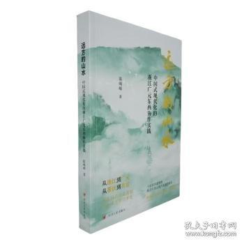 远方的山水——中国式现代化的浙江广元东西协作实践（馆配）