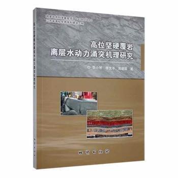 全新正版圖書(shū) 高位堅(jiān)硬覆巖離層水動(dòng)力涌突機(jī)理研究李小琴地質(zhì)出版社9787116131200 黎明書(shū)店