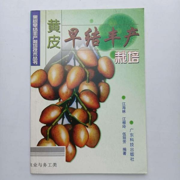 黃皮早結(jié)豐產(chǎn)栽培