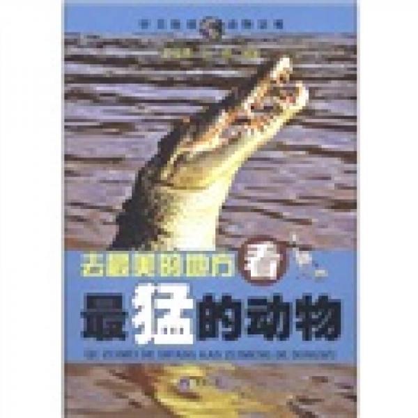 去最美的地方，看最猛的動物