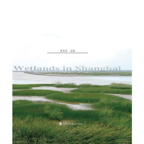 上海濕地