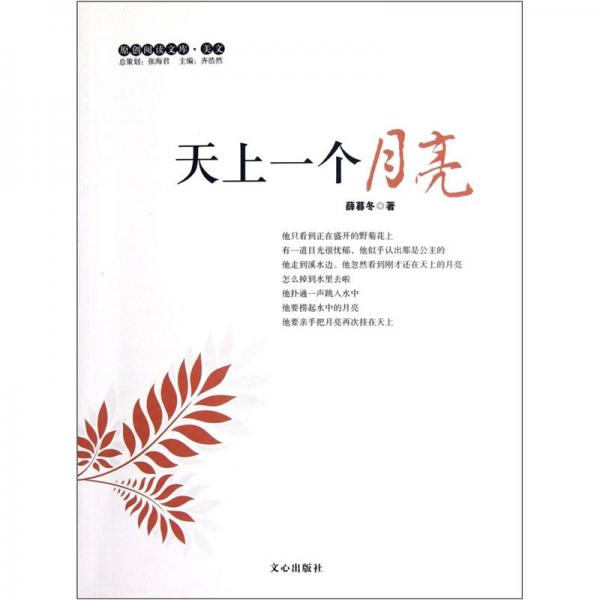 天上一個(gè)月亮