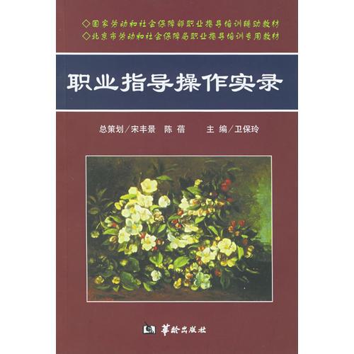 職業(yè)指導(dǎo)操作實(shí)錄