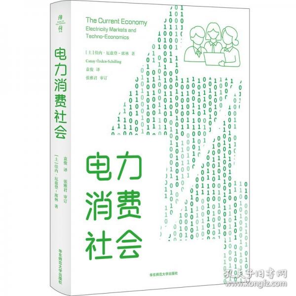 電力消費(fèi)社會(huì)
