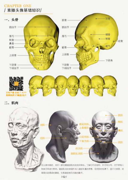 绘画快速入门教程——素描头像