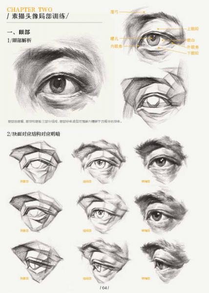 绘画快速入门教程——素描头像