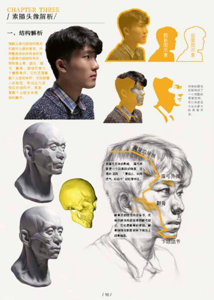 绘画快速入门教程——素描头像