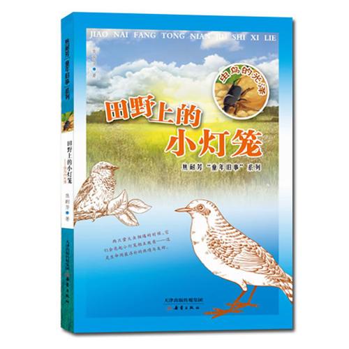 焦耐芳“童年舊事”系列 田野上的小燈籠——蟲鳥的光澤