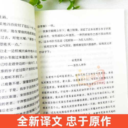 全3冊 荒原狼+德米安+悉達多