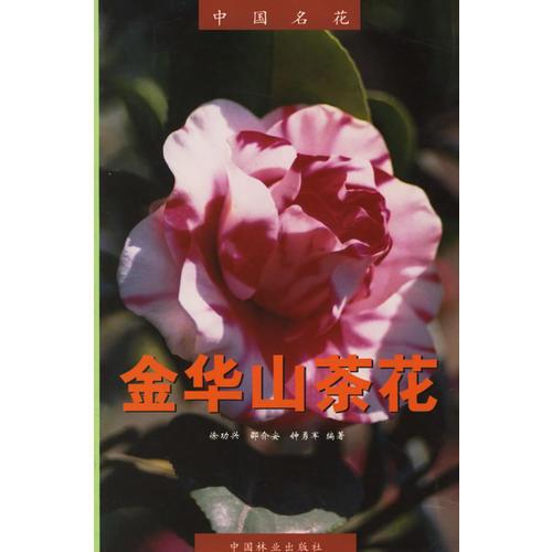 中国名花:金华山茶花