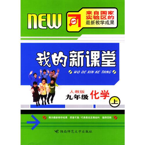 我的新课堂:人教版.化学.九年级下