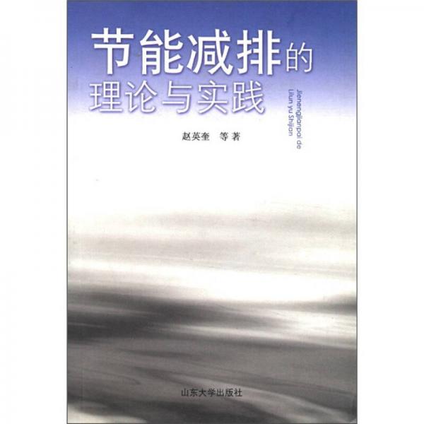 節(jié)能減排的理論與實踐