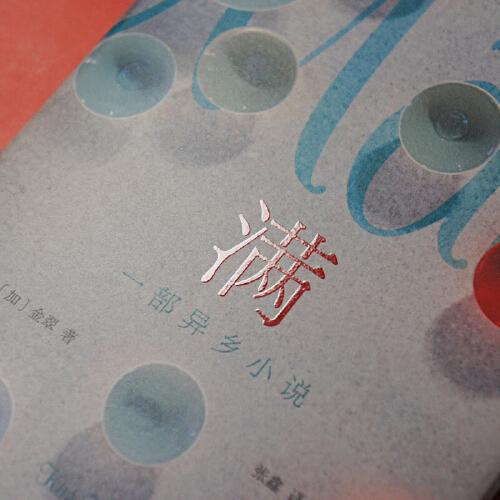 满：一部异乡小说（精装）