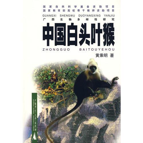 中国白头叶猴 2002