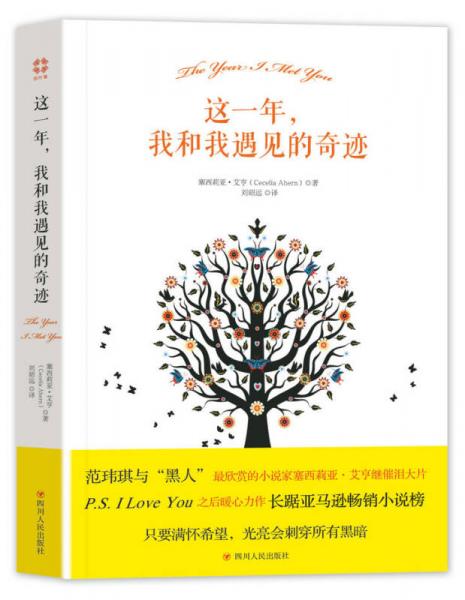 這一年，我和我遇見的奇跡