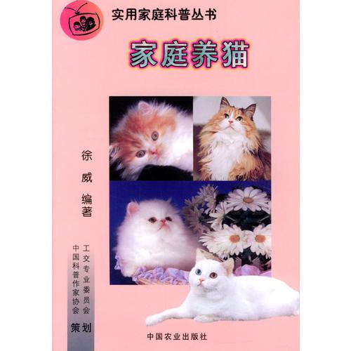 家庭养猫