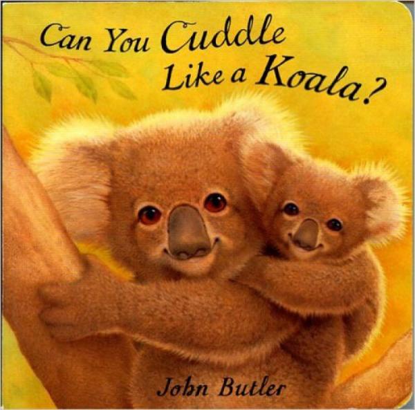 Can You Cuddle Like a Koala