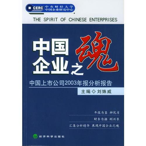 中国企业之魂：中国上市公司2003年报分析报告