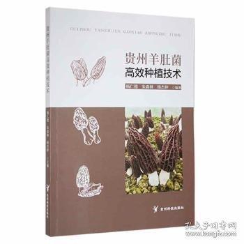 贵州羊肚菌高效种植技术