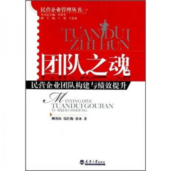 團(tuán)隊(duì)之魂：民營(yíng)企業(yè)團(tuán)隊(duì)構(gòu)建與績(jī)效提升