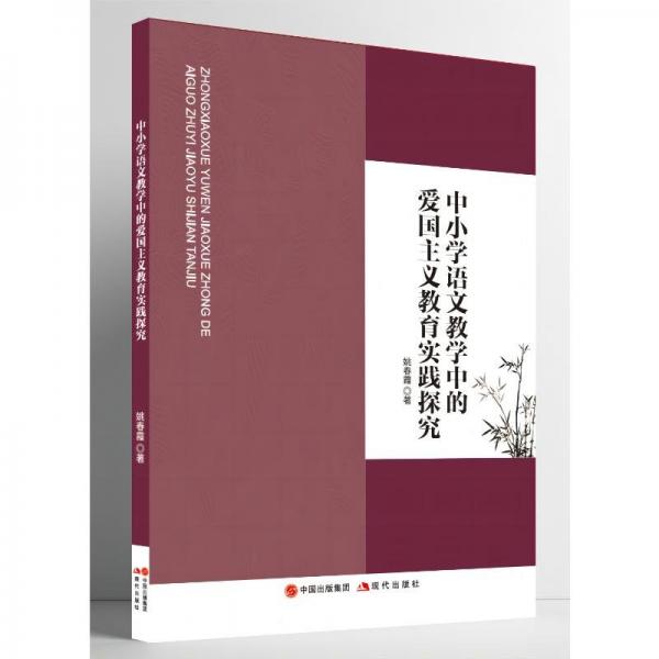 中小學(xué)語(yǔ)文中的愛(ài)國(guó)主義教育實(shí)踐探究 教學(xué)方法及理論 姚春霞著 新華正版