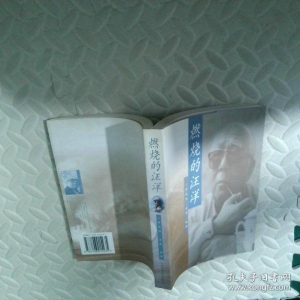 燃燒的汪洋