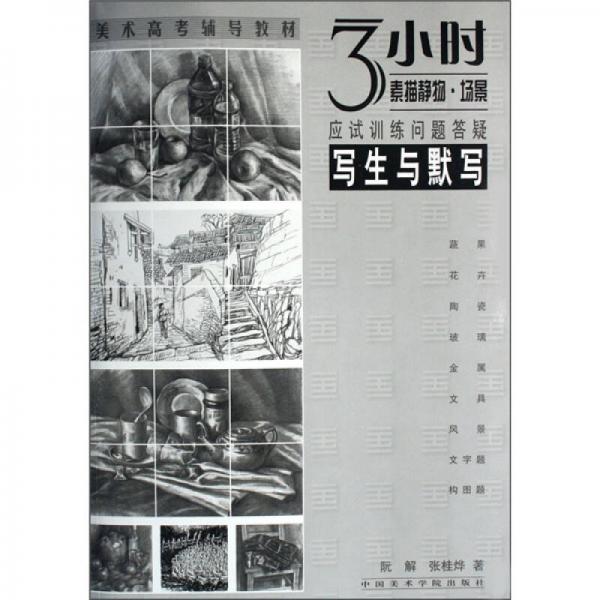 美術(shù)高考輔導(dǎo)教材：3小時(shí)素描靜物·場(chǎng)景應(yīng)試訓(xùn)練訓(xùn)練問(wèn)題答疑