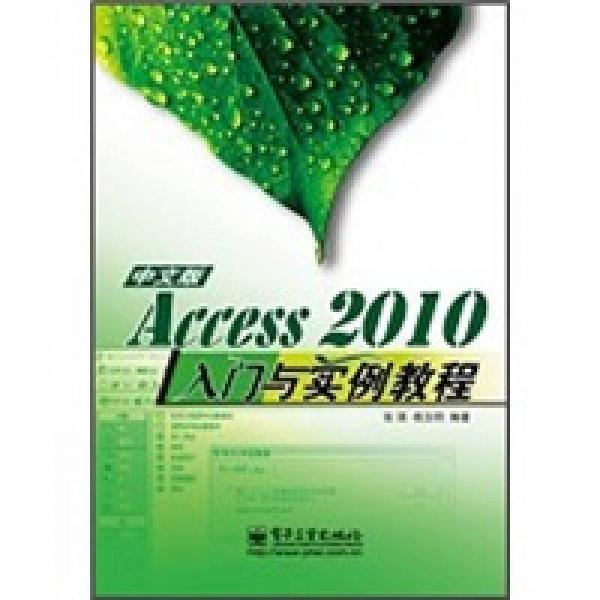 Access 2010中文版入门与实例教程