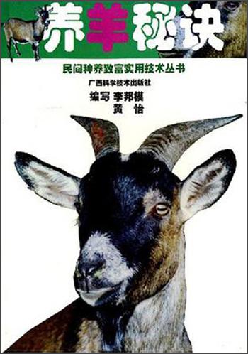 养羊秘诀——民间种养致富实用技术丛书