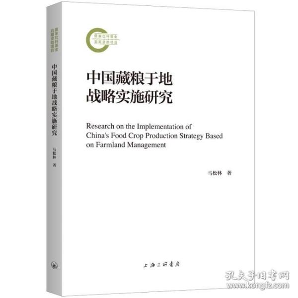 中国藏粮于地战略实施研究