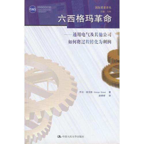 六西格玛革命：通用电气及其他公司如何将过程转化为利润