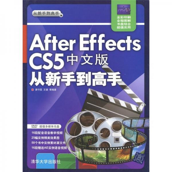 After Effects CS5 中文版从新手到高手