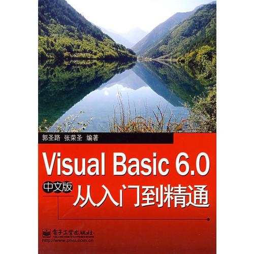 Visual Basic 6.0中文版从入门到精通